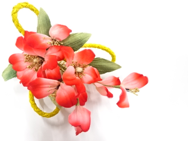 Japanese Kimono / Others (Bolt etc)